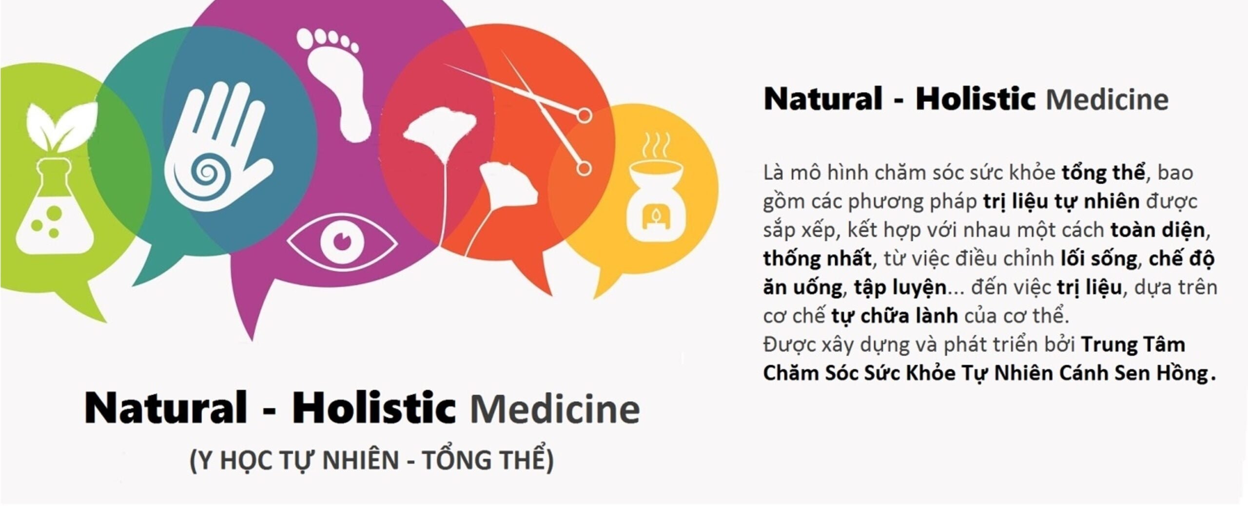 4. Những Lợi Ích Và Hạn Chế Của Y Học Tự Nhiên